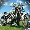 billross6593